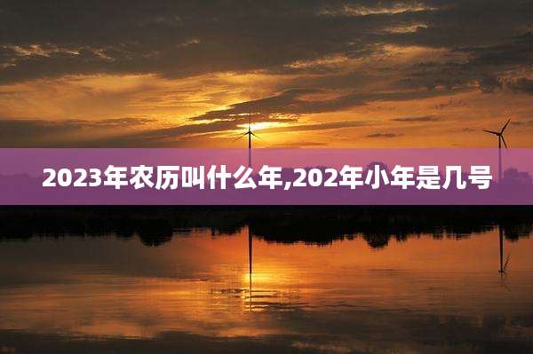 2023年农历叫什么年,202年小年是几号