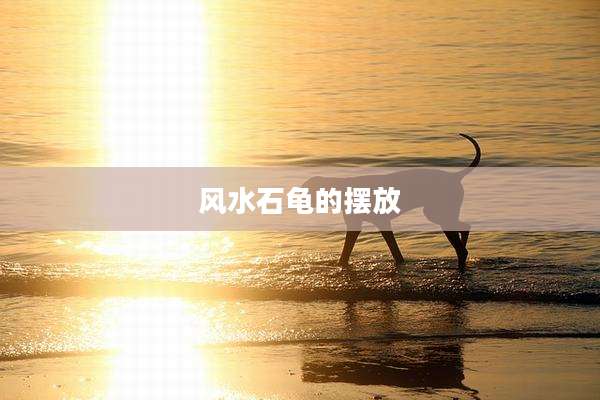 风水石龟的摆放