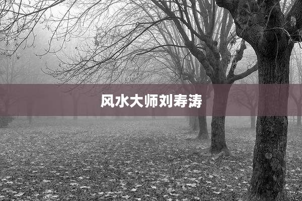 风水大师刘寿涛