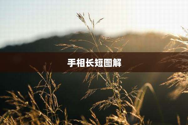 手相长短图解