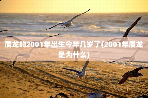 属龙的2001年出生今年几岁了(2001年属龙是为什么)