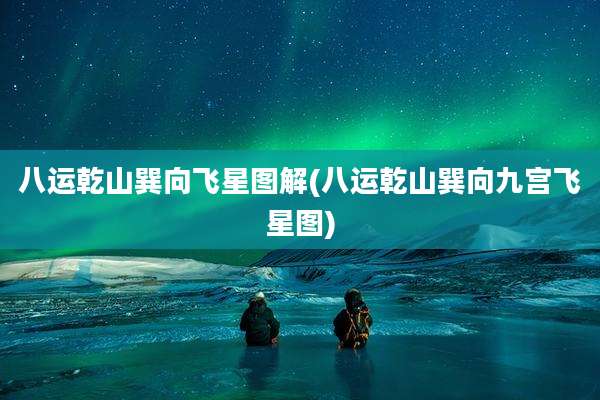 八运乾山巽向飞星图解(八运乾山巽向九宫飞星图)