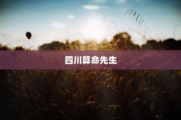 四川算命先生