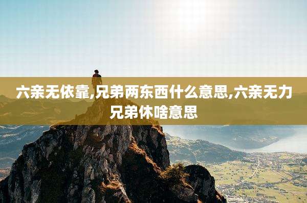 六亲无依靠,兄弟两东西什么意思,六亲无力兄弟休啥意思