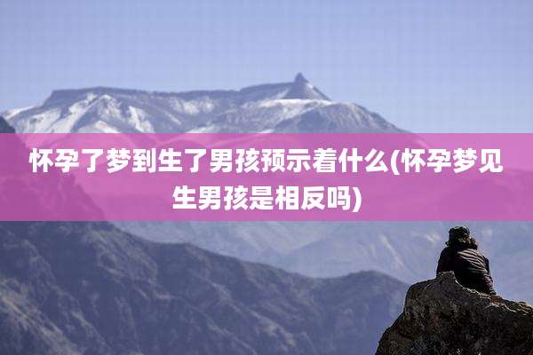 怀孕了梦到生了男孩预示着什么(怀孕梦见生男孩是相反吗)