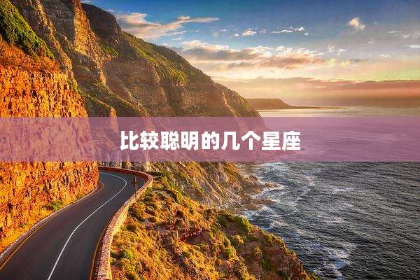 比较聪明的几个星座