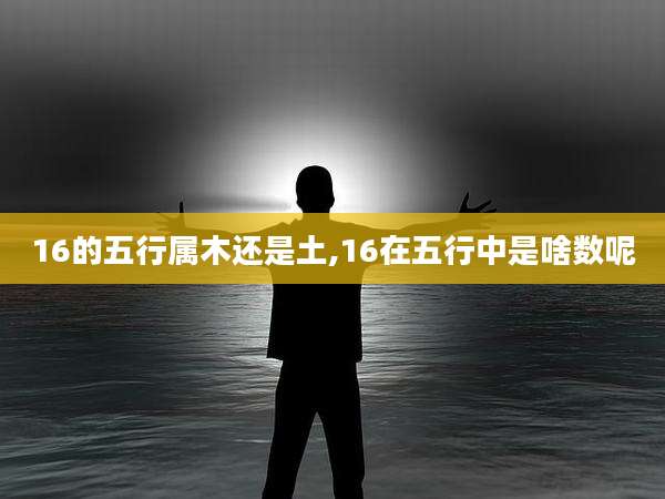 16的五行属木还是土,16在五行中是啥数呢