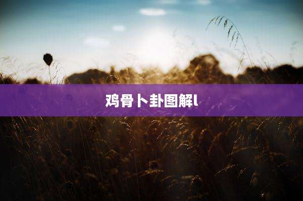 鸡骨卜卦图解l