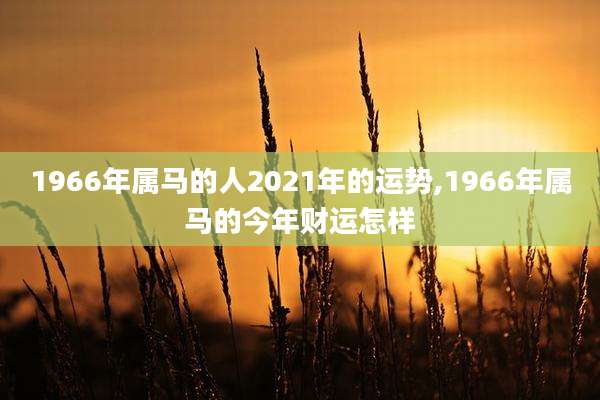 1966年属马的人2021年的运势,1966年属马的今年财运怎样