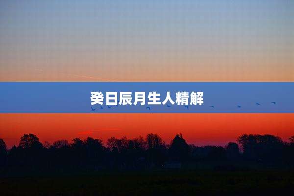 癸日辰月生人精解