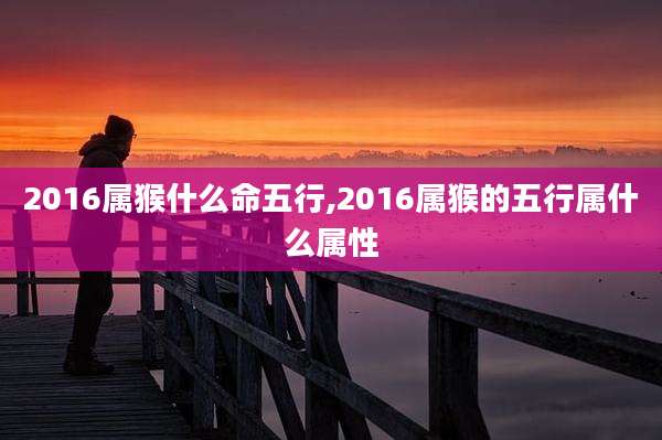 2016属猴什么命五行,2016属猴的五行属什么属性
