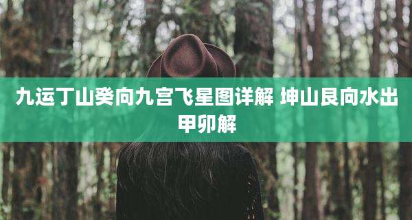 九运丁山癸向九宫飞星图详解 坤山艮向水出甲卯解