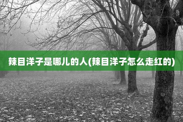 辣目洋子是哪儿的人(辣目洋子怎么走红的)