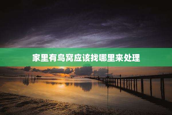 家里有鸟窝应该找哪里来处理