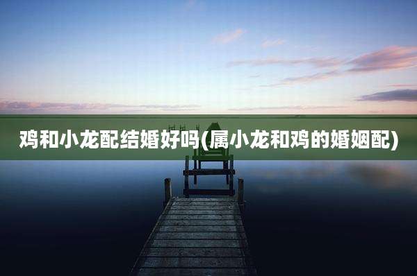 鸡和小龙配结婚好吗(属小龙和鸡的婚姻配)
