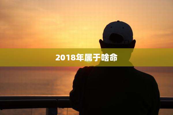 2018年属于啥命