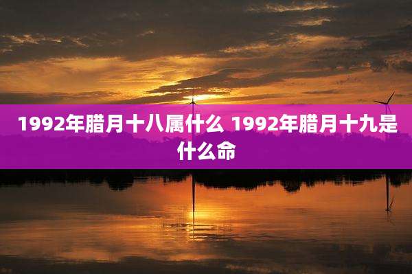1992年腊月十八属什么 1992年腊月十九是什么命