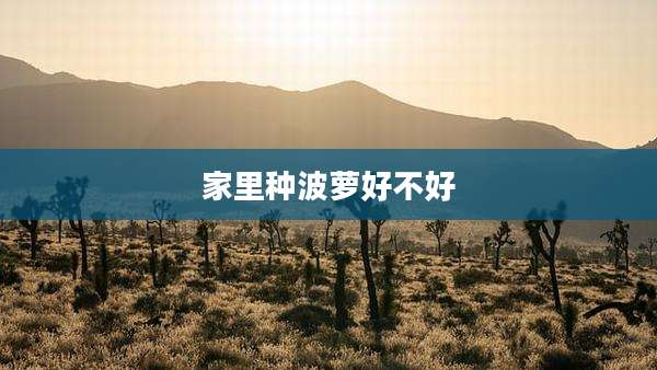 家里种波萝好不好