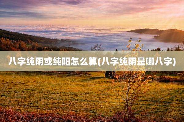 八字纯阴或纯阳怎么算(八字纯阴是哪八字)