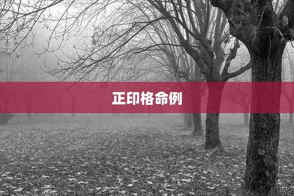 正印格命例