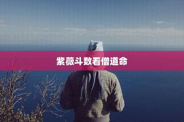 紫薇斗数看僧道命