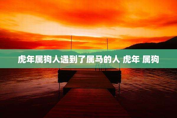 虎年属狗人遇到了属马的人 虎年 属狗