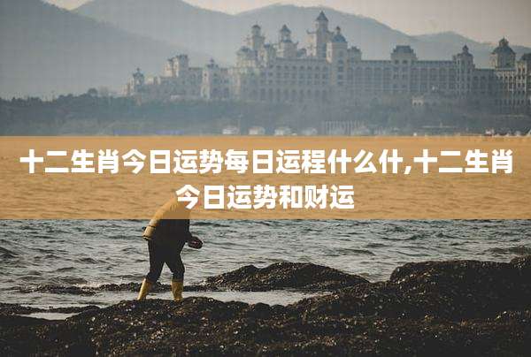 十二生肖今日运势每日运程什么什,十二生肖今日运势和财运