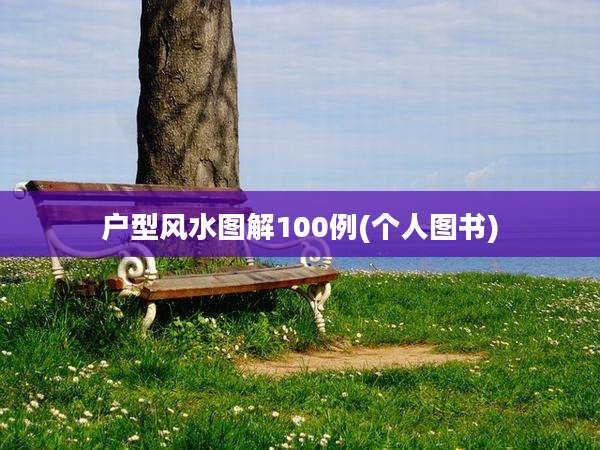 户型风水图解100例(个人图书)
