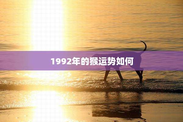 1992年的猴运势如何