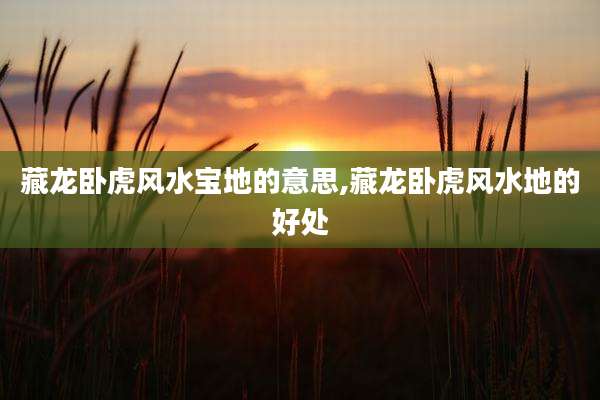 藏龙卧虎风水宝地的意思,藏龙卧虎风水地的好处