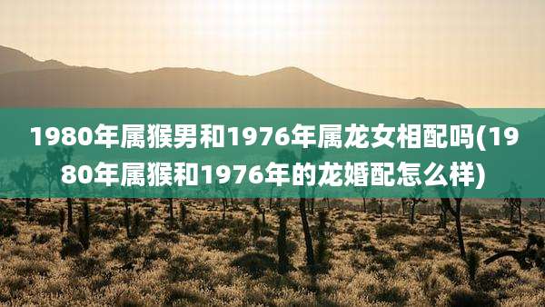 1980年属猴男和1976年属龙女相配吗(1980年属猴和1976年的龙婚配怎么样)