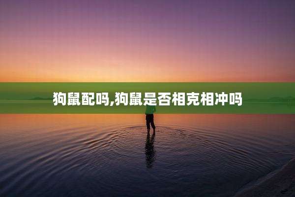 狗鼠配吗,狗鼠是否相克相冲吗