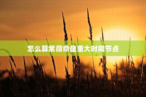 怎么算紫薇命盘重大时间节点