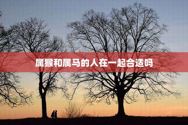 属猴和属马的人在一起合适吗