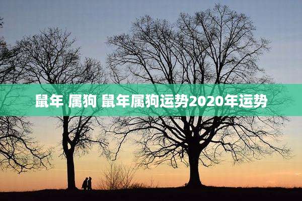 鼠年 属狗 鼠年属狗运势2020年运势