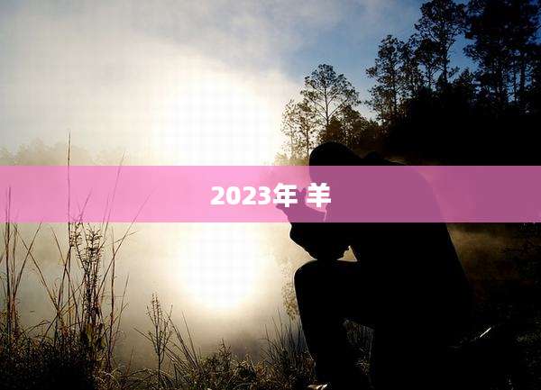 2023年 羊