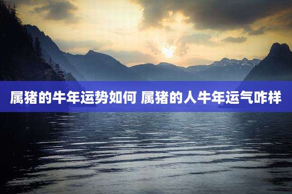 属猪的牛年运势如何 属猪的人牛年运气咋样