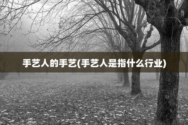 手艺人的手艺(手艺人是指什么行业)
