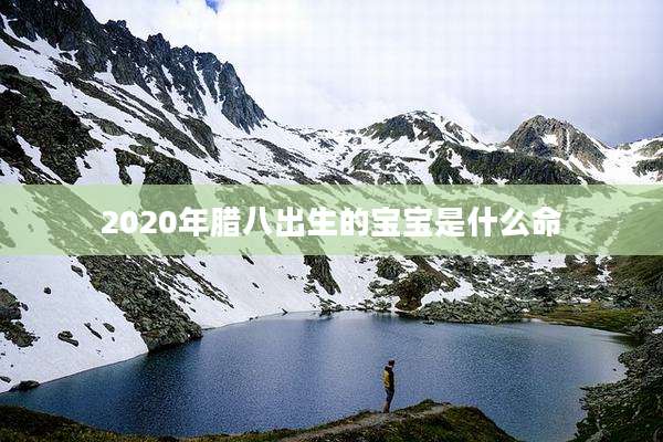 2020年腊八出生的宝宝是什么命