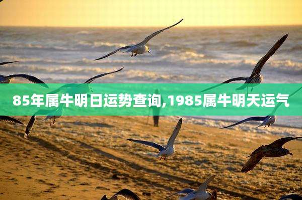 85年属牛明日运势查询,1985属牛明天运气