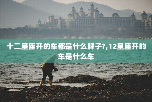 十二星座开的车都是什么牌子?,12星座开的车是什么车
