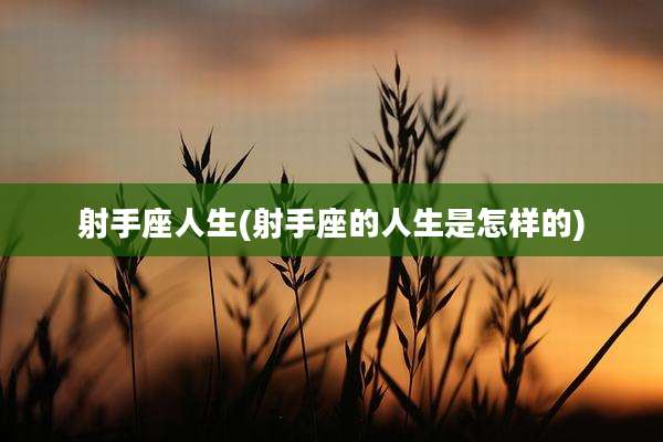射手座人生(射手座的人生是怎样的)