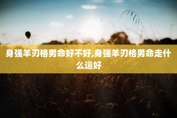 身强羊刃格男命好不好,身强羊刃格男命走什么运好