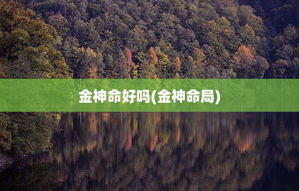金神命好吗(金神命局)