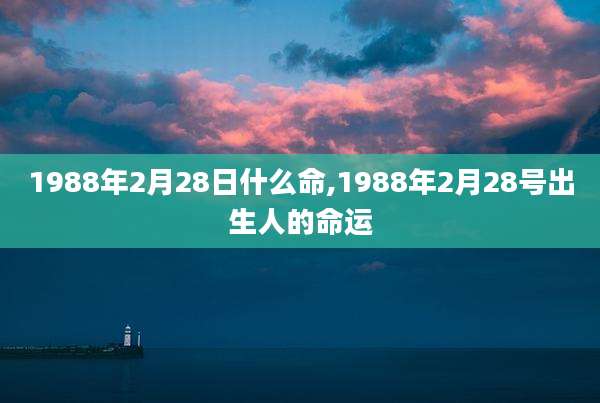 1988年2月28日什么命,1988年2月28号出生人的命运