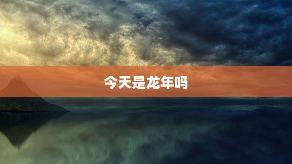 今天是龙年吗