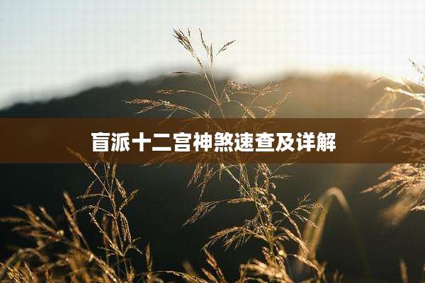 盲派十二宫神煞速查及详解