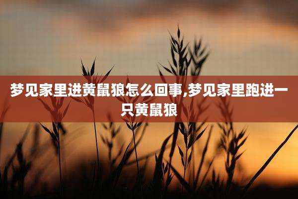 梦见家里进黄鼠狼怎么回事,梦见家里跑进一只黄鼠狼