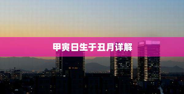 甲寅日生于丑月详解