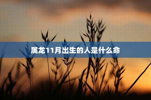 属龙11月出生的人是什么命
